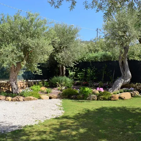 Jancaliva By Interhome *