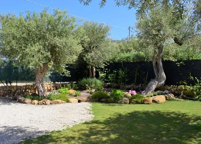 Jancaliva By Interhome *